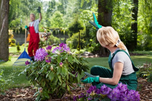 Eco-friendly lawn care team in Dalston with recycling bins