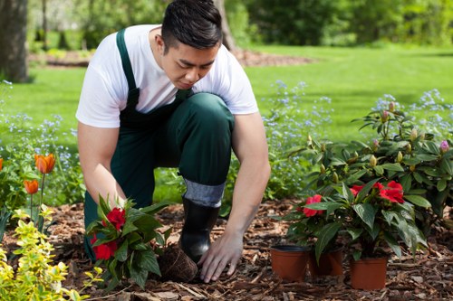 Risk assessor reviewing a garden for mowing