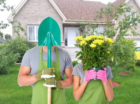 Local Dalston tree service team