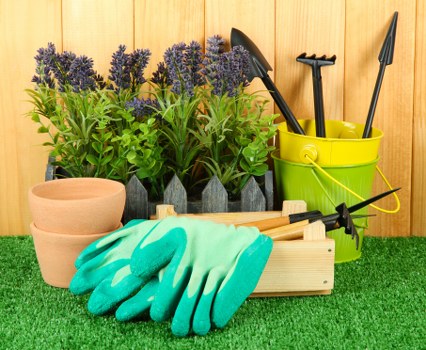 The image shows a neatly arranged outdoor gardening area in a residential garden, featuring a section of well-maintained lawn with lush, dense green grass in the foreground. Behind the grass, there are several potted lavender plants with purple flower spikes, placed in a black container, providing a splash of colour and a fragrant addition to the garden space. To the right of the plants, a green plastic bucket holds various gardening tools, including a trowel, a hand fork, and a garden rake, all with black handles. In front of the bucket, there is a wooden planter box with a pair of bright turquoise gardening gloves and a small black-handled hand trowel resting nearby. To the left, a set of three terracotta plant pots is stacked, ready for planting or repotting. The background features a wooden fence with a warm honey tone, creating a sheltered and private outdoor environment suitable for garden maintenance and landscaping services. The scene is lit with soft natural daylight, suggesting clear weather ideal for outdoor gardening activities, and it exudes a well-organised, inviting atmosphere focused on garden care and upkeep in Dalston.